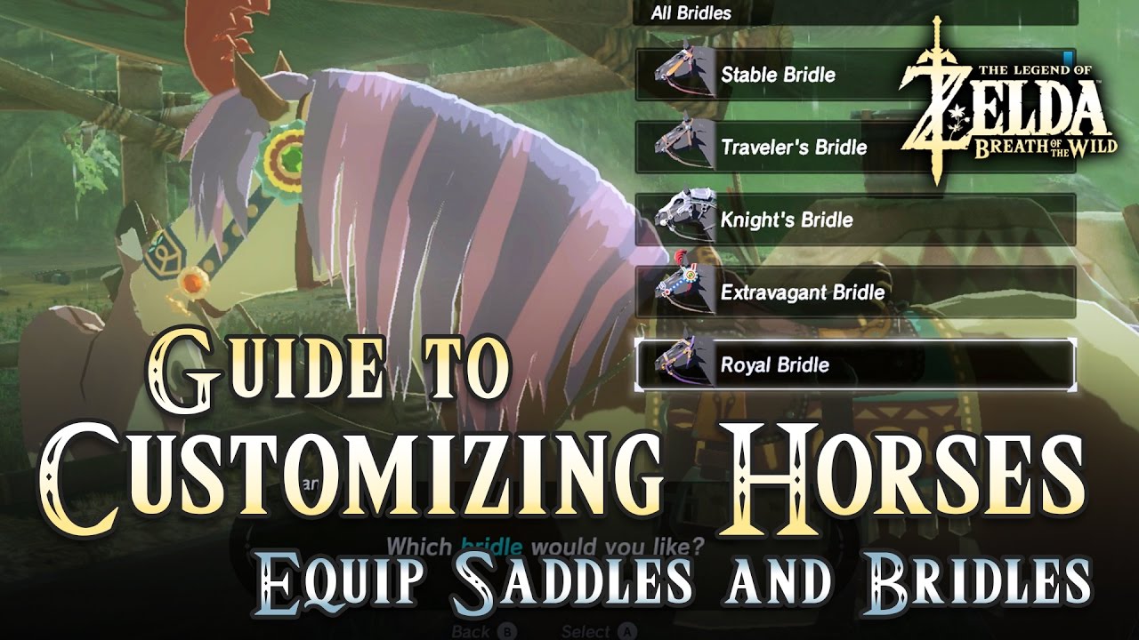 Featured image of post How To Equip Ancient Saddle