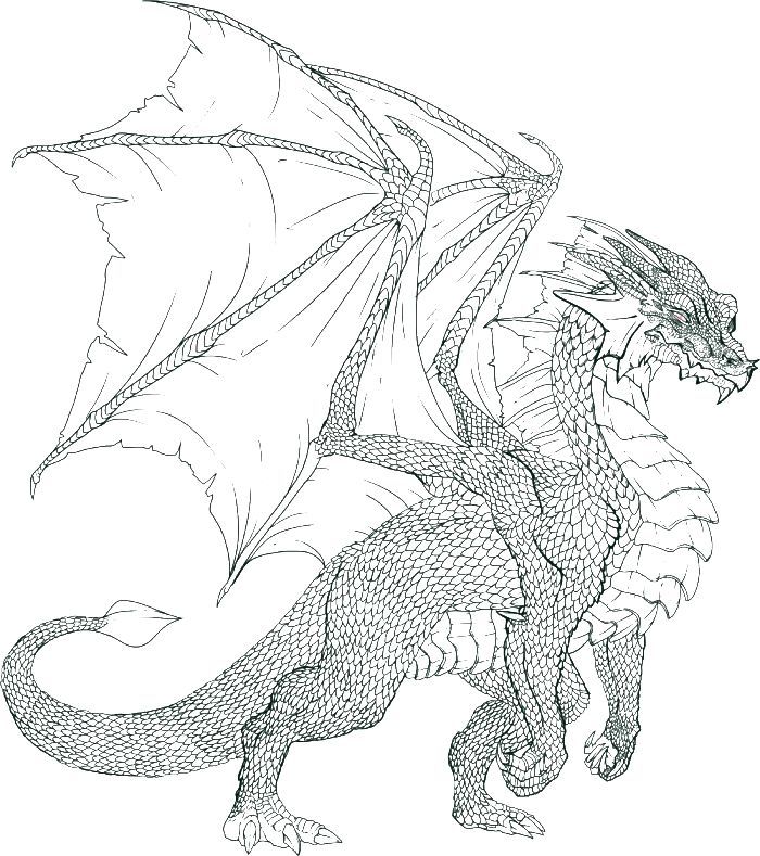 pix Realistic Fire Breathing Dragon Coloring Pages Realistic Fire Dragon Drawing fire breathing dragon coloring pages