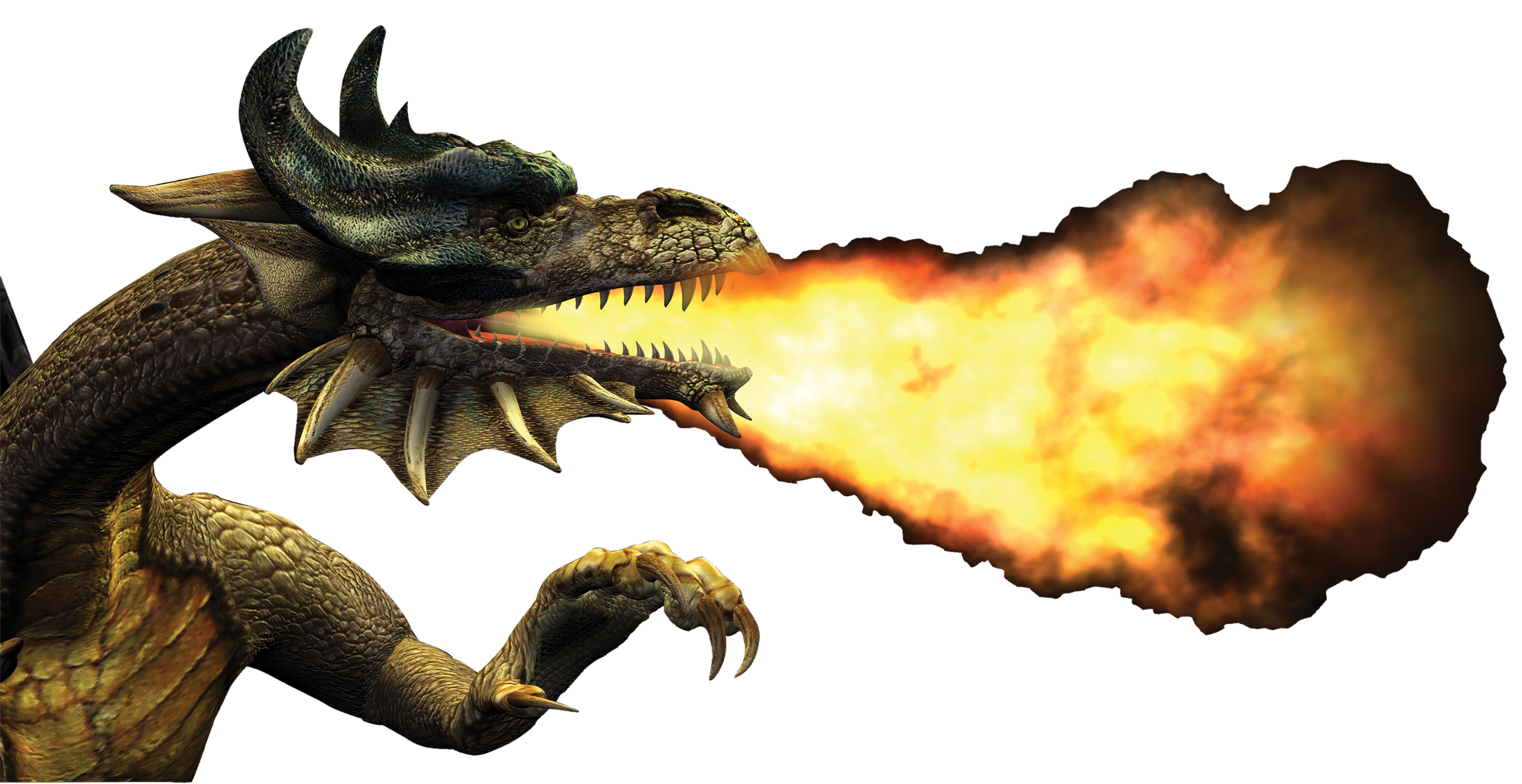 Featured image of post Realistic Fire Breathing Dragon Png